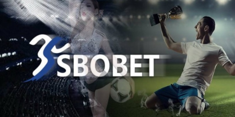 Một số thể loại kèo cược của Sbobet