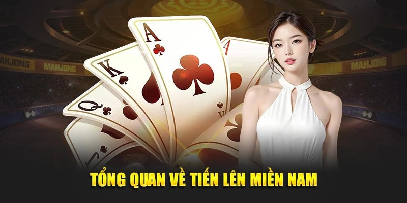 Tổng quan các nét về Tiến lên miền Nam